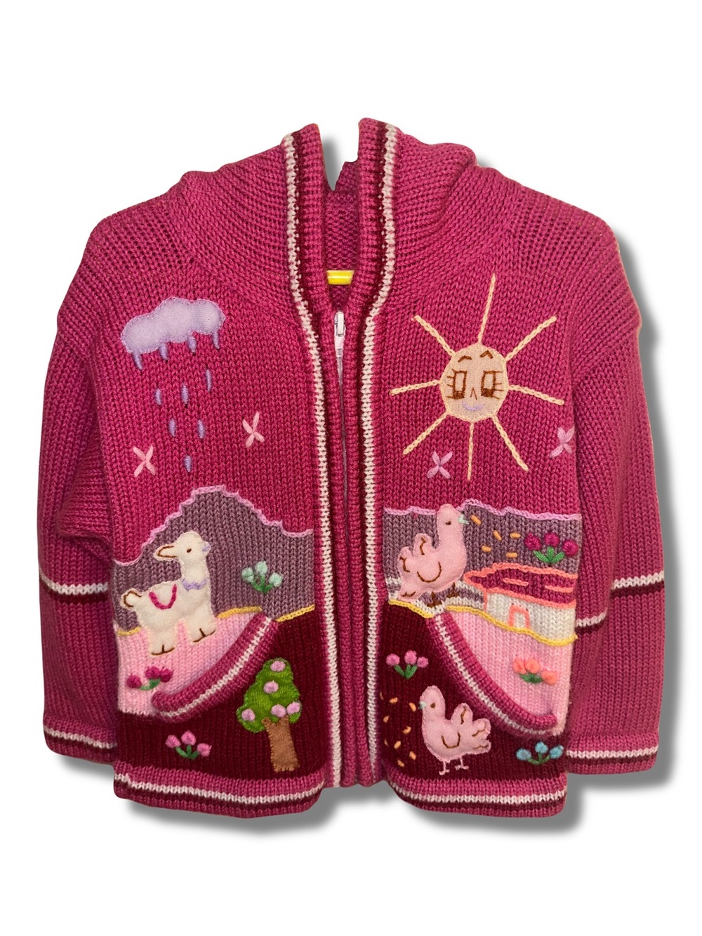 Handmade Peruvian Embroidered Arpillera Hooded Sweater